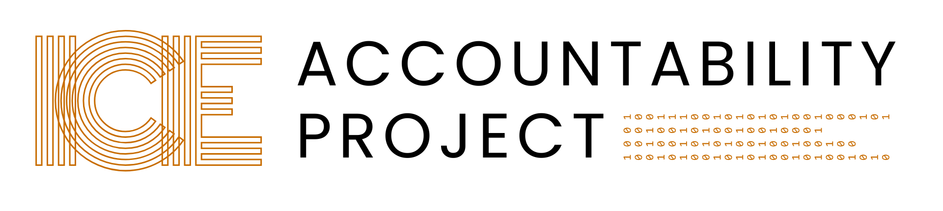 ICE Accountability Project